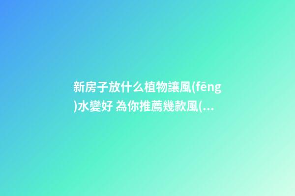 新房子放什么植物讓風(fēng)水變好 為你推薦幾款風(fēng)水植物